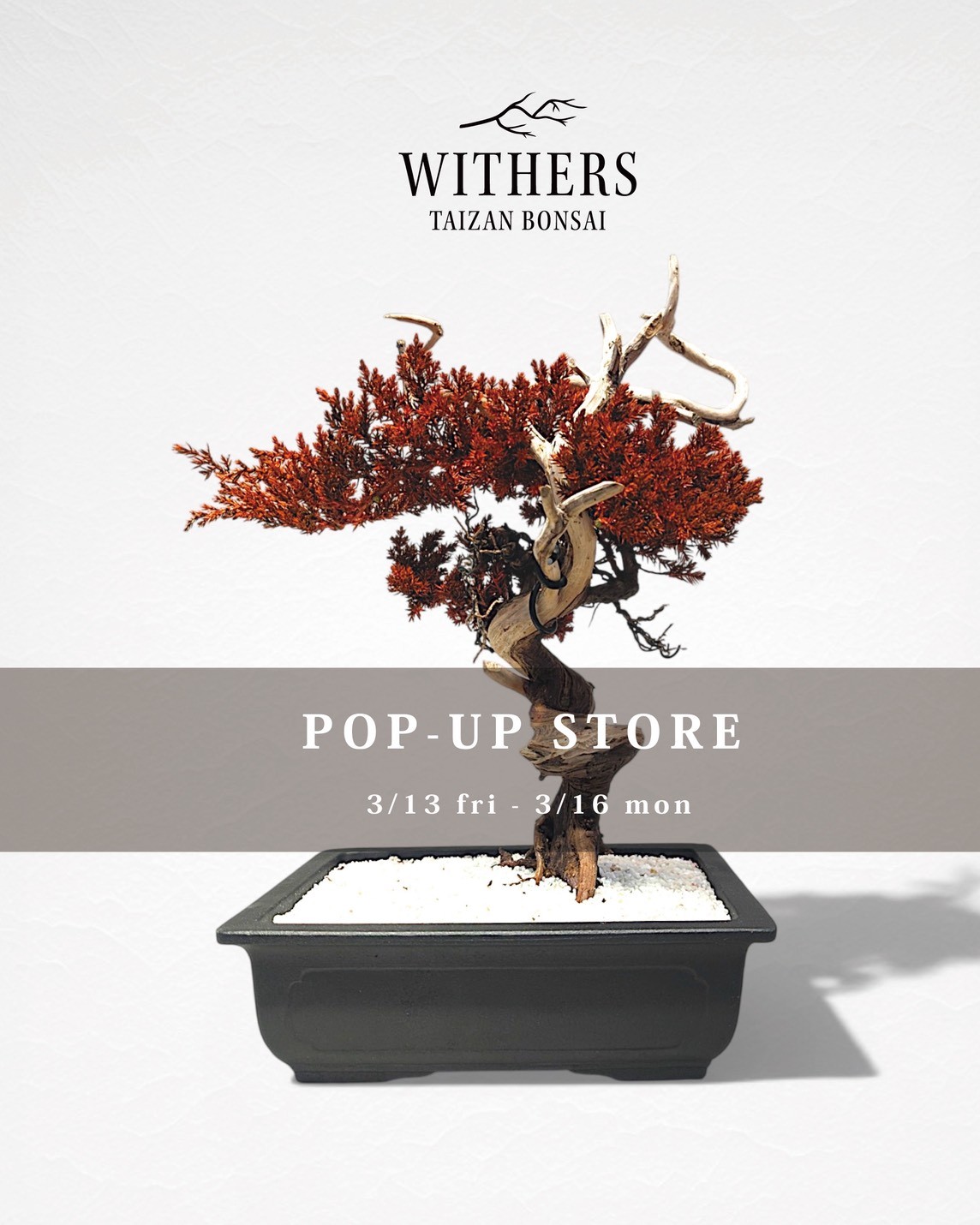 凪　NAGI – BONSAI- / 再生盆栽アート『WITHERS』 画像